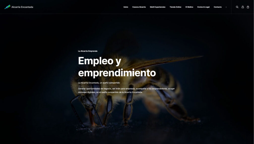 mmmiguel-net-portfolio-paginas-web-segovia-2023_0016_capa-7